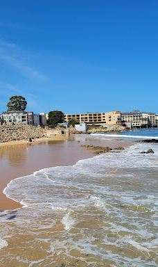 San Carlos Beach Park-蒙特雷