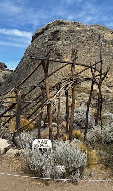 Walichu tip (Cuevas Gualicho)-阿根廷湖县