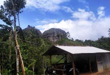 Desa Wisata Soko Gunung景点图片