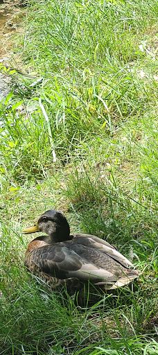 Stadt Park-开姆尼茨