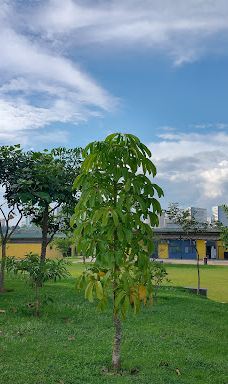 Park Gabriel Chucre-巴鲁埃里