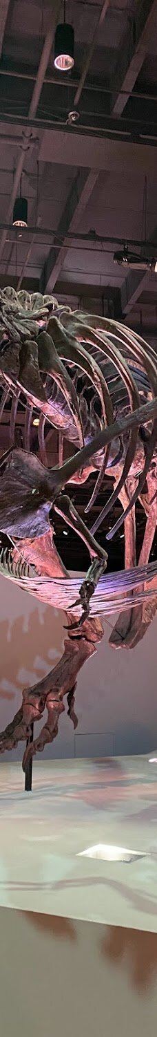 休斯顿博物馆区-休斯敦