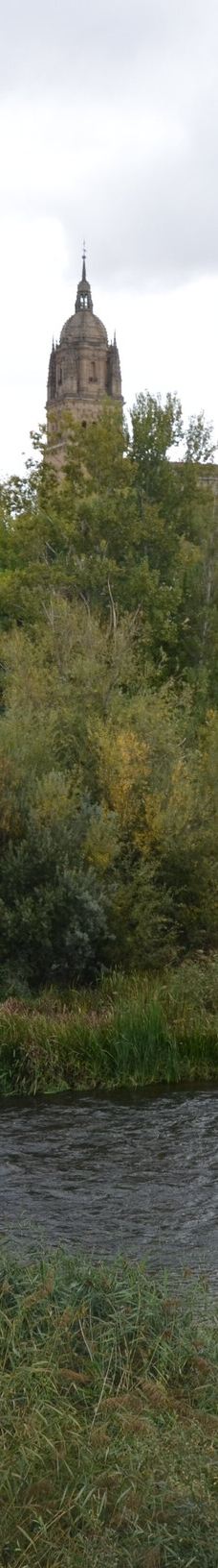 罗马古桥-萨拉曼卡