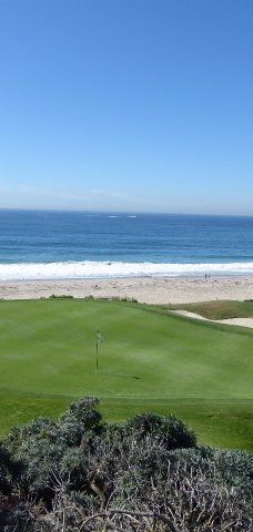 Salt Creek Beach-达纳点