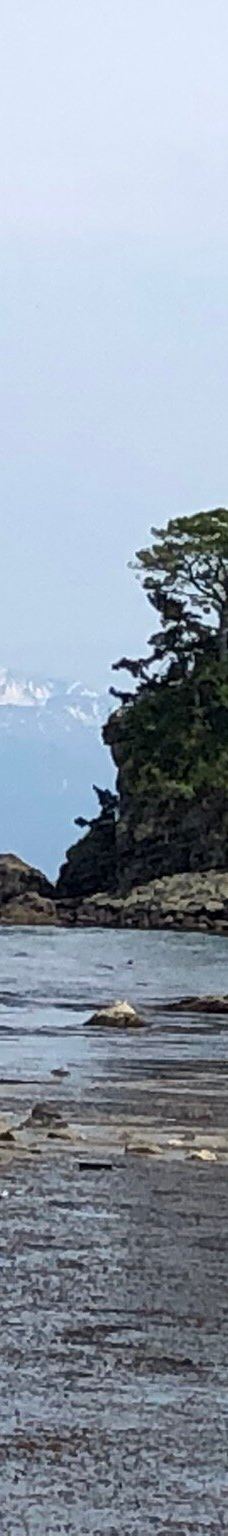 雨晴海岸-高冈市