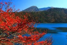 六観音御池景点图片