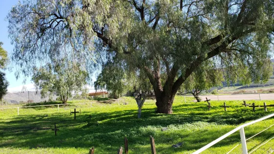 San Diego Archaeological Center