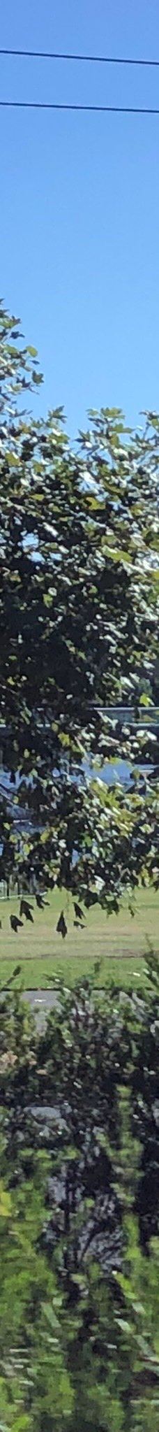 北大街-阿德莱德