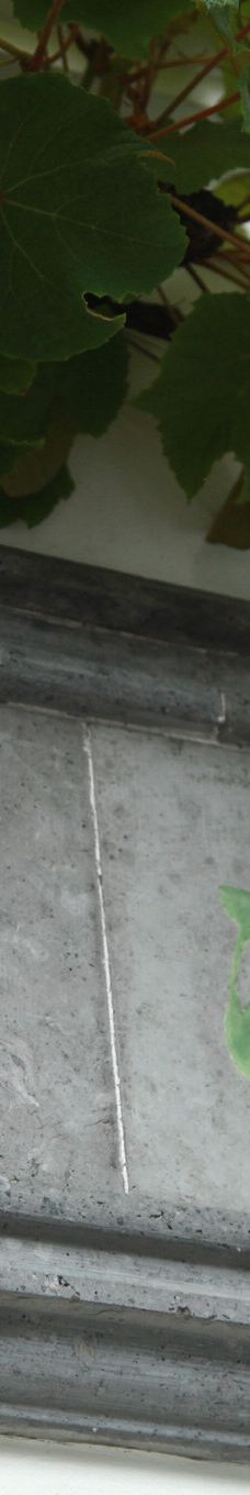 兰苏中国花园-波特兰