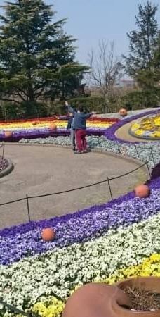 安城产业文化公园-安城市