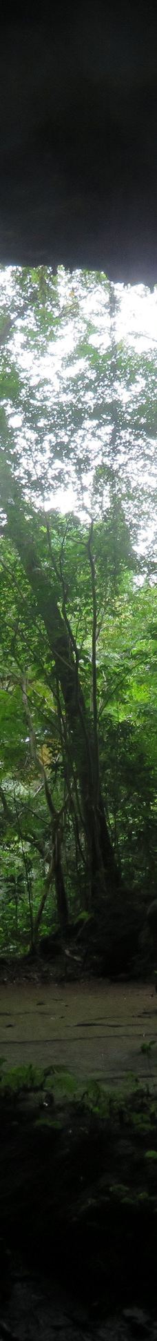 Grotte de Hortense-松树岛