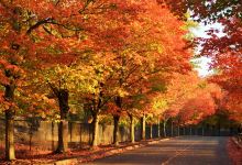 Gene Coulon Memorial Beach Park景点图片