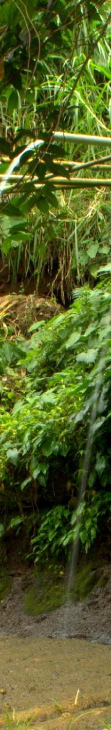 Balite Falls-阿马德奥