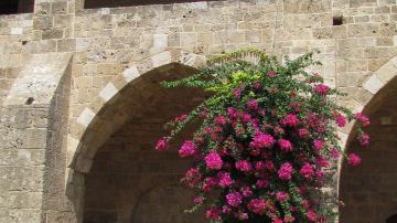 Khan El Franj - Saida