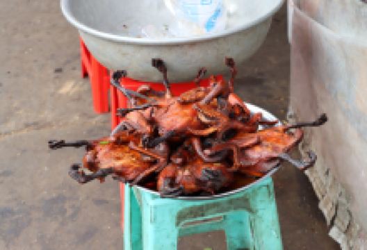 Skun Spider Sanctuary景点图片