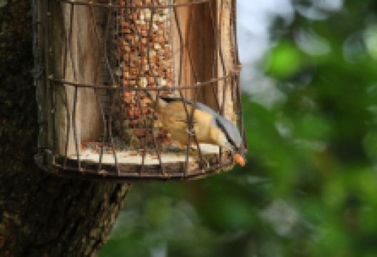 Chard Reservoir (disused)景点图片