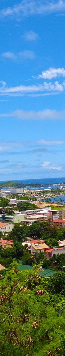 Notre Dame Du Pacifique-阿尔达比勒