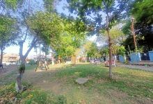 Mushran Park景点图片