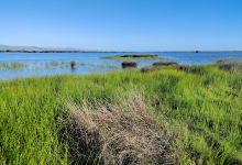 Yarrs Flat Wildlife Management Reserve景点图片