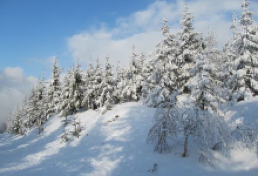 Ski-lift - Hanč Sport Club Benecko景点图片