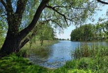 Garzer See景点图片