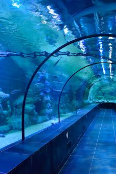 ViaSea水族馆-伊斯坦布尔