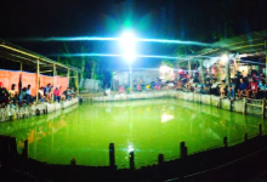 Pemancingan Putra Gabah景点图片