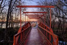 Elmwood Pathway景点图片