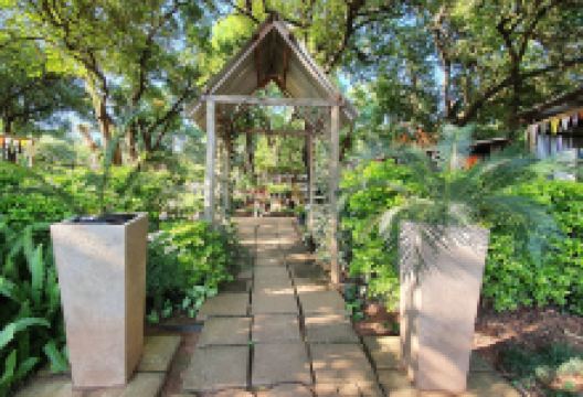 Vintage Flair Nursery购物图片