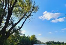 Camping Club de Pesca El Dorado景点图片