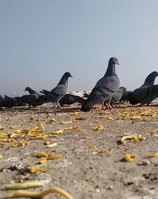 Bhadaini Ghat-瓦拉纳西