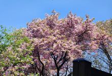 笔峰山景点图片