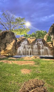 Sunflower Square-帕尔马斯