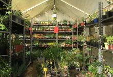 Jardinerie Dupin购物图片