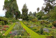 Mugongo Gardens (Roz Carr Museum)景点图片