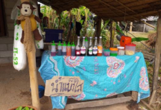 Wat Sa Prathum Thong景点图片