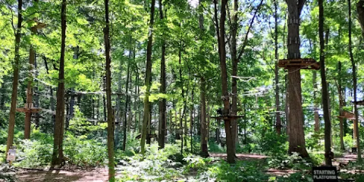 Frankenmuth Aerial Park