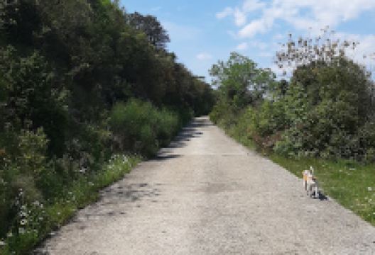 Osmatračnica景点图片