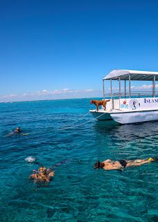 Islander Girl Snorkel & Tours-门罗县