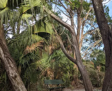 Betty Steflik Preserve