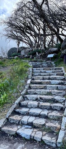 The Horn Picnic Area-芒特巴弗法洛