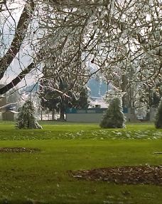 Willamalane Park-斯普林菲尔德