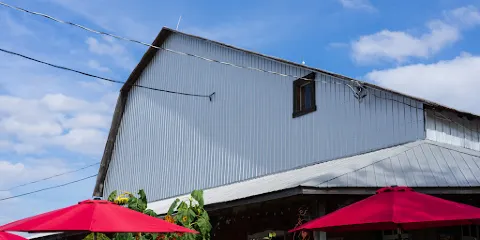 La Magie de la Pomme