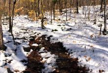 Starr King Trailhead景点图片