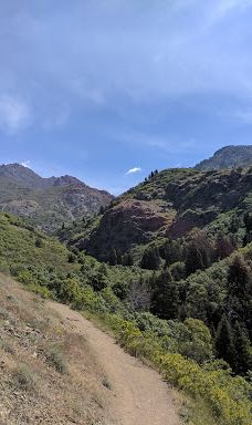 Andy Adams Park-雷顿