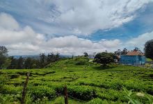 Coonoor guide景点图片
