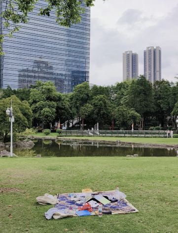 花城广场景点图片 32