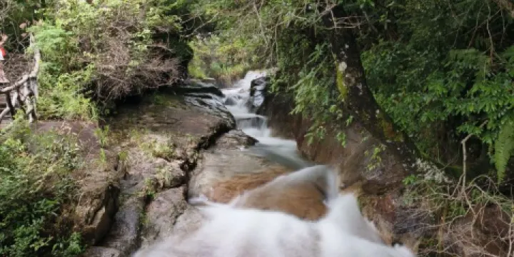 上猶五指峯鳥鳴澗