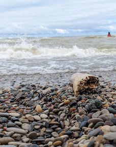 Pinery Provincial Park-大本德