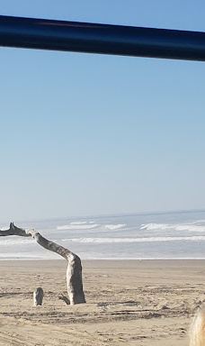 Sandland Adventures Inc-雷恩县